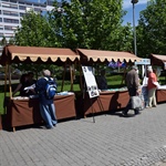 Blíží se Veletrh sociálních a návazných služeb, letos opět před NC Eden