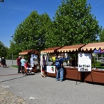 MČ Praha 10 pořádá tradiční veletrh sociálních a návazných služeb. Představí se na něm přes 40 organizací