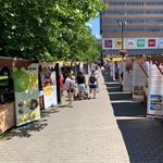 Praha 10 pořádá jedenáctý ročník Veletrhu sociálních a návazných služeb